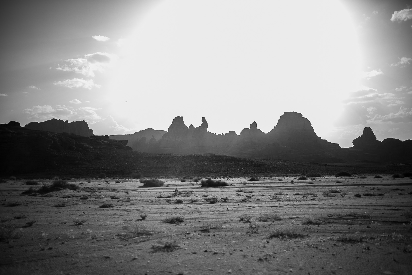 Human & Nature  outoftime 80